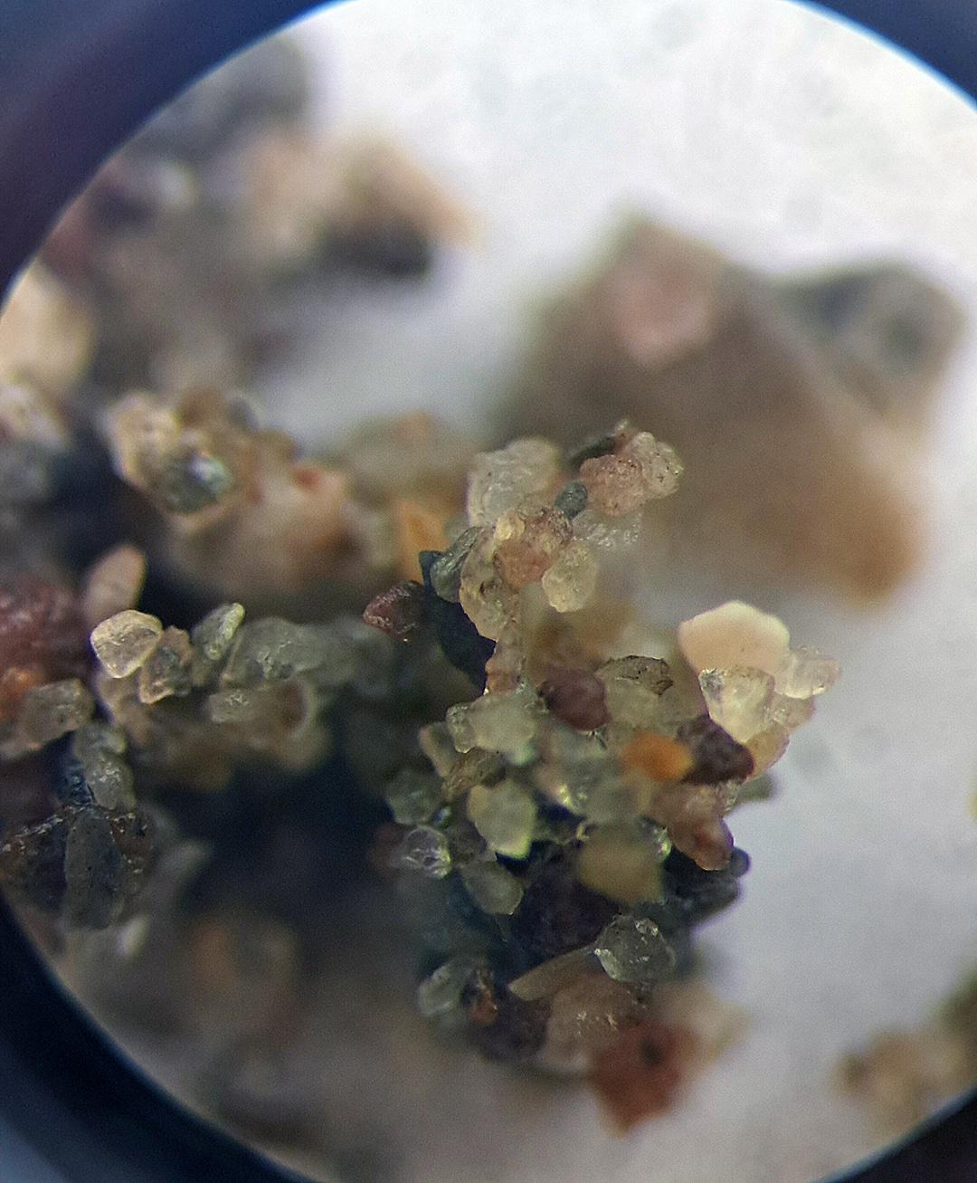 Sediment grains under a microscope